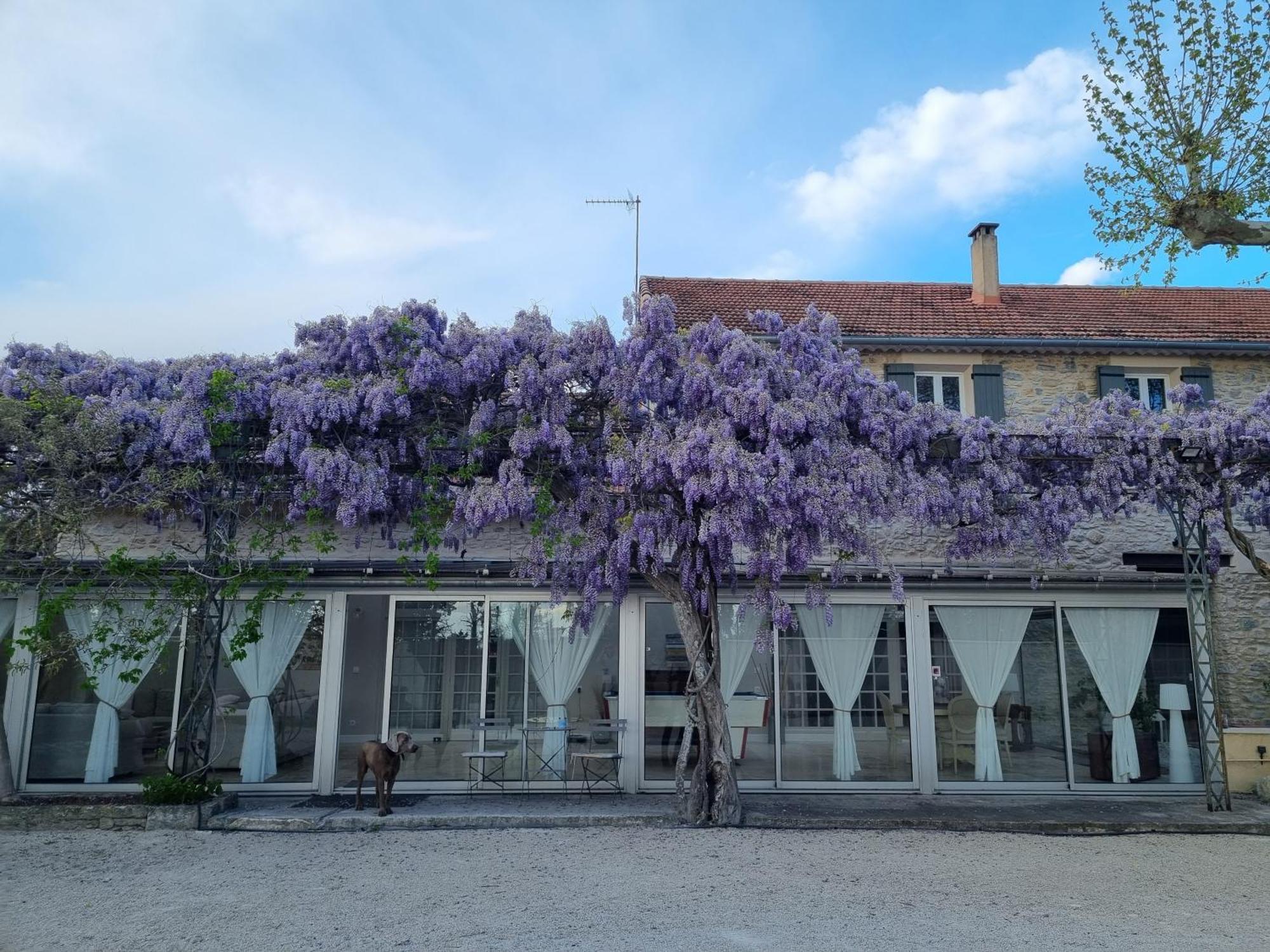 La Bastide Des Arts Bed & Breakfast Saumane-de-Vaucluse Екстериор снимка