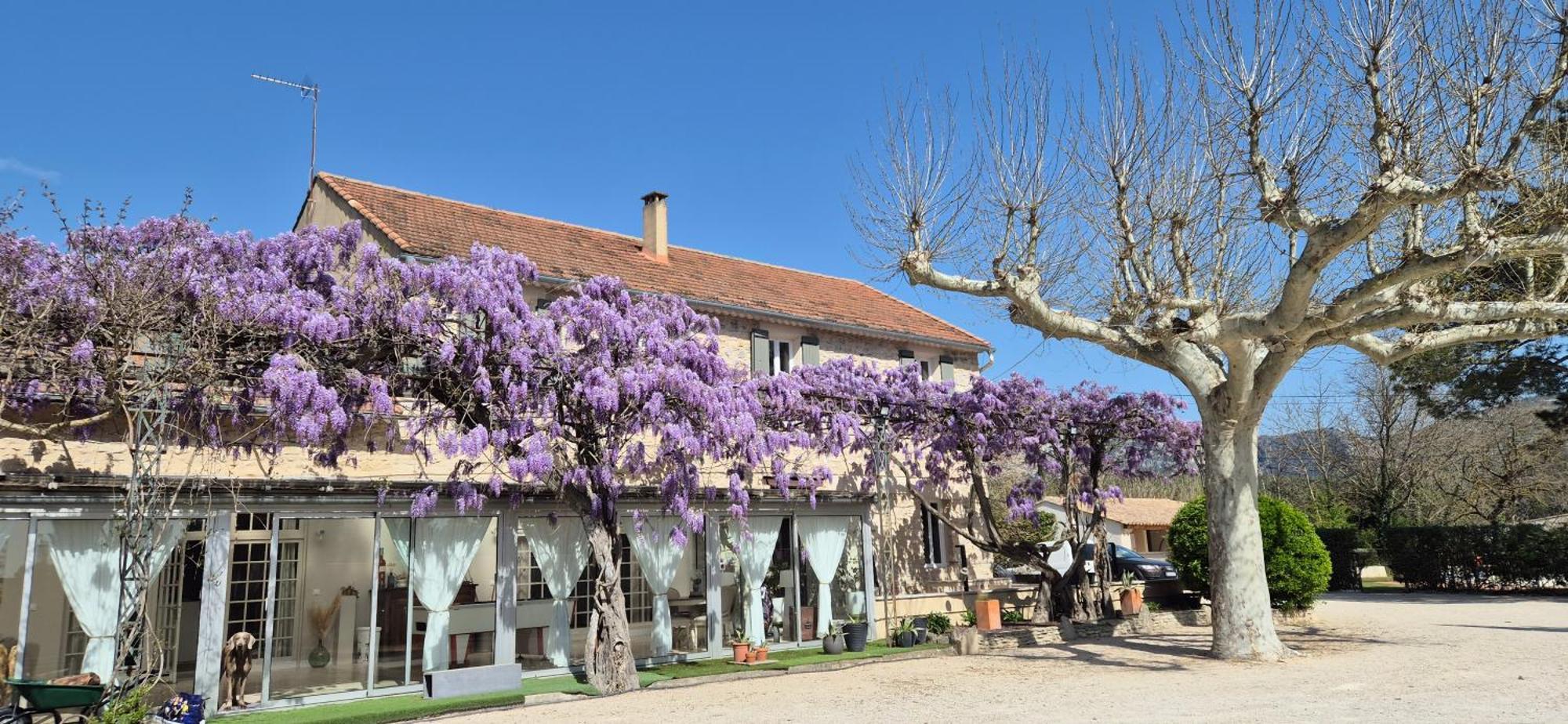 La Bastide Des Arts Bed & Breakfast Saumane-de-Vaucluse Екстериор снимка